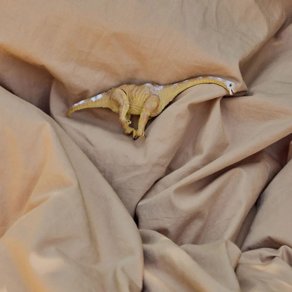 Dear April Clove Spannbetttuch 42x82x5 cm Sandy Feet