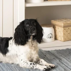 IB LAURSEN Dose für Hundefutter Weiß Holzdeckel 2,2 L